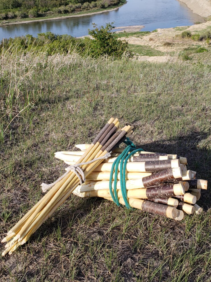 Tipi Pegs